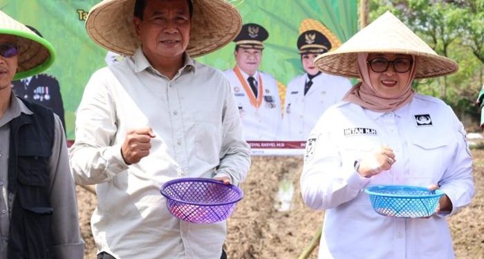 Pemda dan Polri Selenggarakan Gerakan Tanam Jagung Hibrida di Tangerang