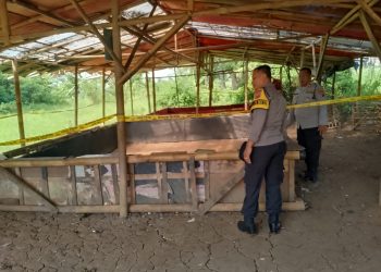 Polisi Ungkap Tempat Sabung Ayam di Pasar Kemis Tangerang