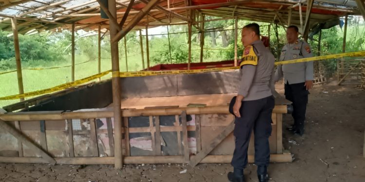 Polisi Ungkap Tempat Sabung Ayam di Pasar Kemis Tangerang