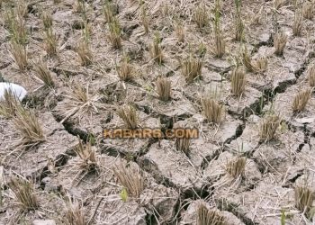 Hadapi Krisis Air Karena Kemarau, BPBD Lebak Minta Bantuan Sumur Bor