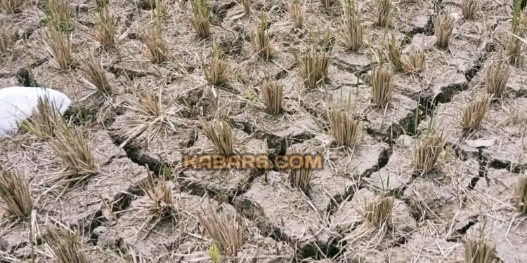 Hadapi Krisis Air Karena Kemarau, BPBD Lebak Minta Bantuan Sumur Bor