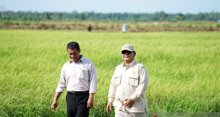Prabowo Buat Sejarah, Cadangan Beras Nasional Capai 4 Juta Ton