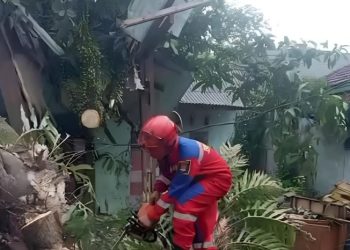 Pohon Tumbang Menimpa Rumah Warga di Kabupaten Tangerang