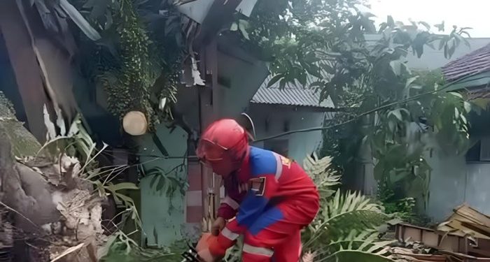 Pohon Tumbang Menimpa Rumah Warga di Kabupaten Tangerang