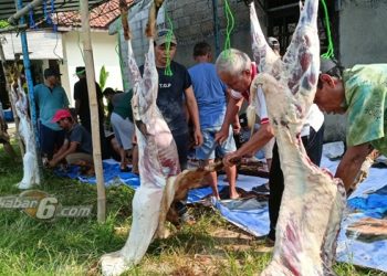 Idul Adha, Teladani Tiga Manusia Pilihan dari Tuhan Semesta Alam