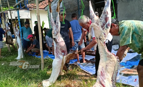 Idul Adha, Teladani Tiga Manusia Pilihan dari Tuhan Semesta Alam