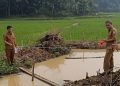 Sepuluh Titik Irigasi di Lebak Akan Diperbaiki Tahun Ini