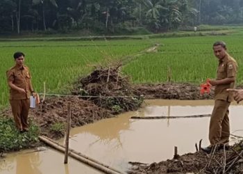 Sepuluh Titik Irigasi di Lebak Akan Diperbaiki Tahun Ini
