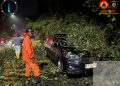 Pohon Tumbang di Puspiptek Tangsel Menimpa Mobil