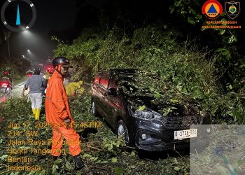 Pohon Tumbang di Puspiptek Tangsel Menimpa Mobil