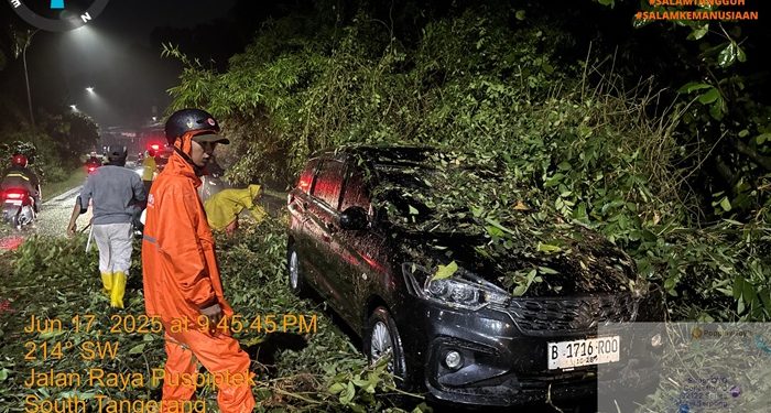 Pohon Tumbang di Puspiptek Tangsel Menimpa Mobil