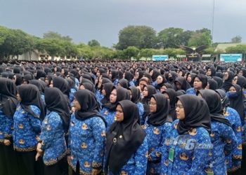 Postur Gaji PPPK Tangerang Selatan di APBD Perubahan 2025 Sebesar Rp 135 Miliar