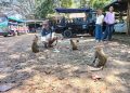 Obyek Wisata Kramat Solear di Pemkab Tangerang Terabaikan dan Terpinggirkan