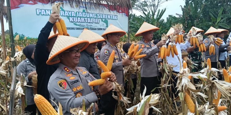 Kapolres Serang Terima Gelar Bapak Jagung Indonesia