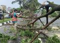 Waspada Cuaca Ekstrem Empat Hari ke Depan di Banten Menurut BMKG