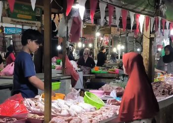 Harga Ayam Potong di Tangsel Naik 90 Persen Membuat Pedagang dan Pembeli Kesulitan