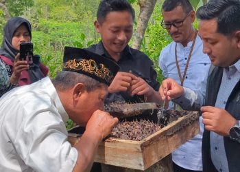Mahasiswa UNIDA Gontor Ciptakan Wisata Lebah Digital Pertama di Indonesia Trigona Park