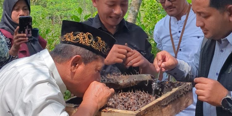 Mahasiswa UNIDA Gontor Ciptakan Wisata Lebah Digital Pertama di Indonesia Trigona Park