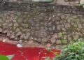Kali Rawa Buntu Tangsel Tercemar, Warna Merah Diduga dari Pewarna Makanan