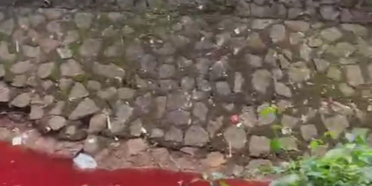 Kali Rawa Buntu Tangsel Tercemar, Warna Merah Diduga dari Pewarna Makanan