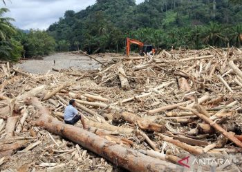 Potensi Kayu Banjir dari Kayu Ilegal dan Pembalakan Menjadi Sorotan Kemenhut