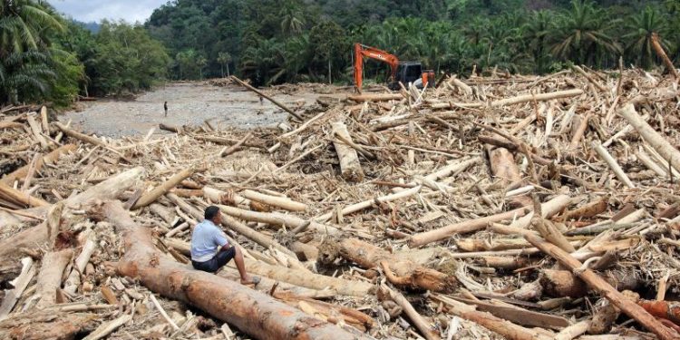 Potensi Kayu Banjir dari Kayu Ilegal dan Pembalakan Menjadi Sorotan Kemenhut