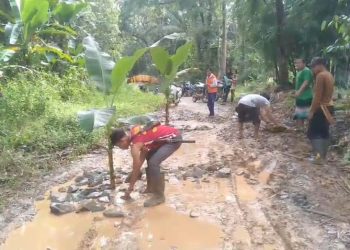 Warga Lebak Tanam Pohon Pisang sebagai Protes atas Jalan Rusak Selama 20 Tahun