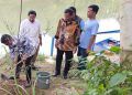 Pemprov Banten Tanam 5000 Pohon untuk Mitigasi Lingkungan di Tangerang