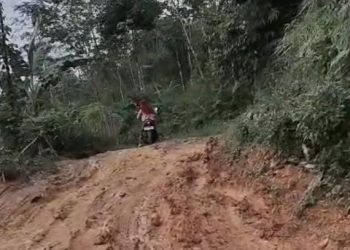Ibu Hamil Melahirkan di Mobil Pikap di Lebak saat Jalan Sulit Dilalui