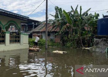 Banjir Sepekan Merendam Ratusan Rumah di Binuang Serang